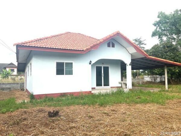 02 Single House _photo