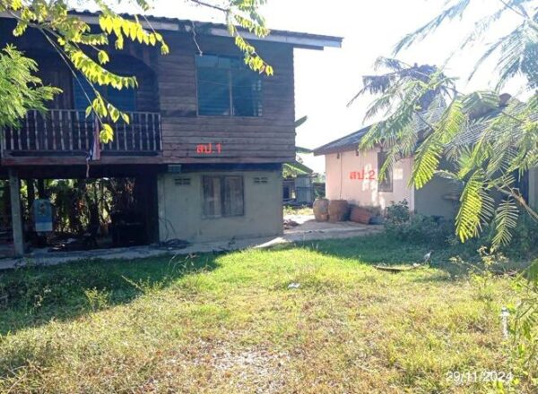 02 Single House _photo