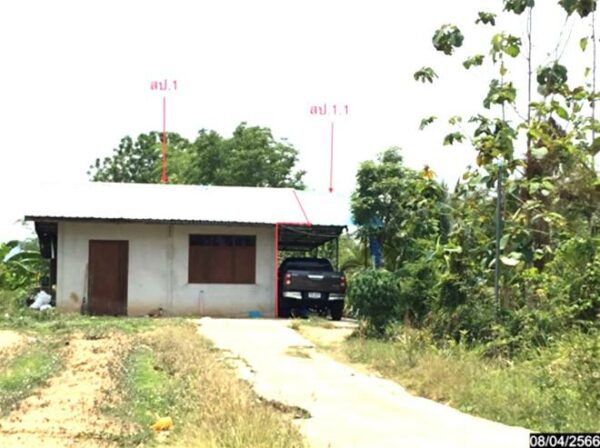 02 Single House _photo