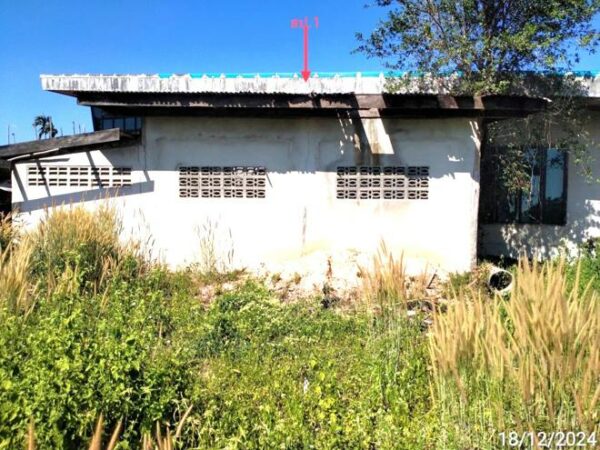 02 Single House _photo