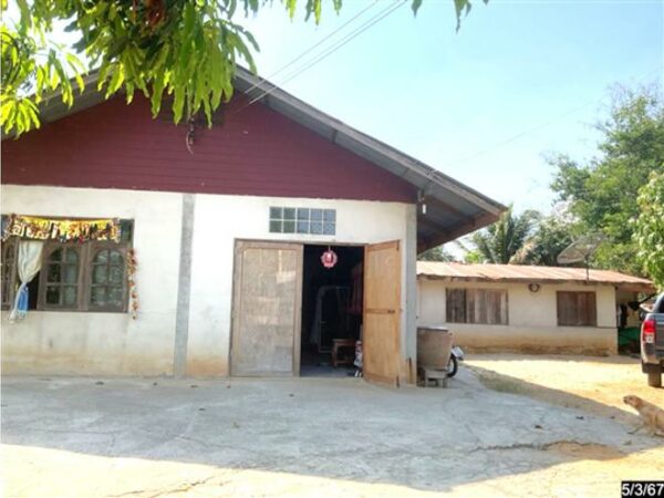 02 Single House _photo