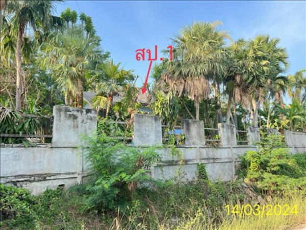 02 Single House _photo