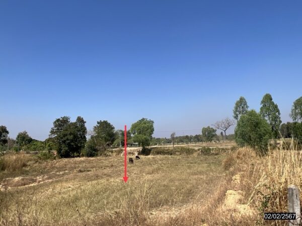 01 Land is empty. _photo