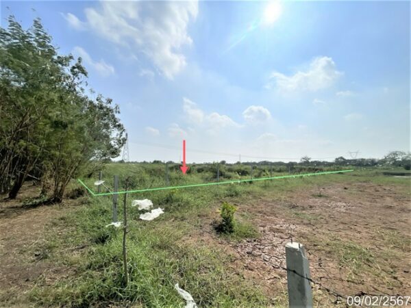 01 Land is empty. _photo