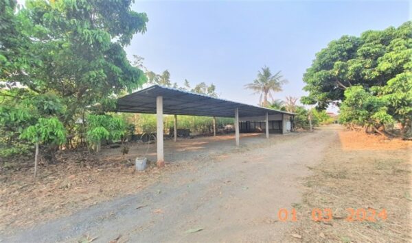 02 Single House _photo