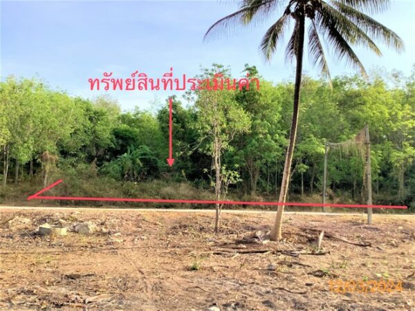 01 Land is empty. _photo