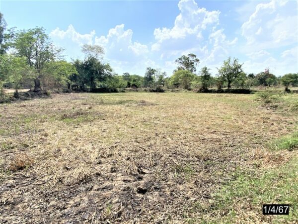 01 Land is empty. _photo