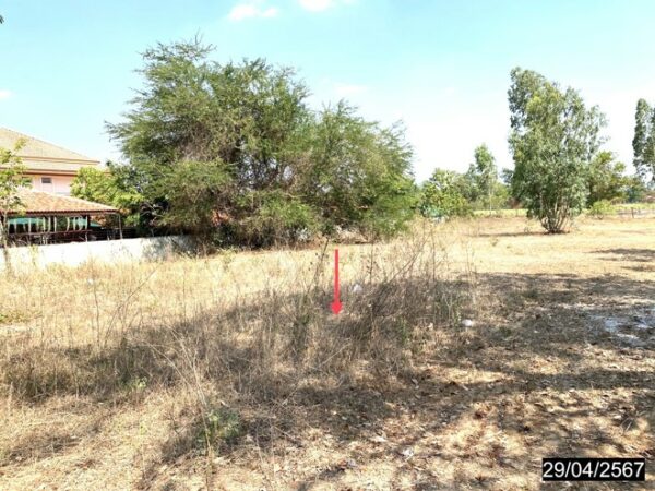 01 Land is empty. _photo