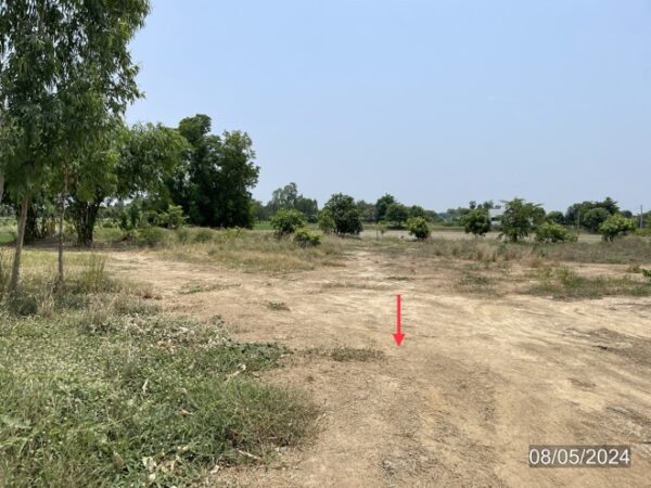 01 Land is empty. _photo