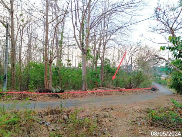 01 Land is empty. _photo