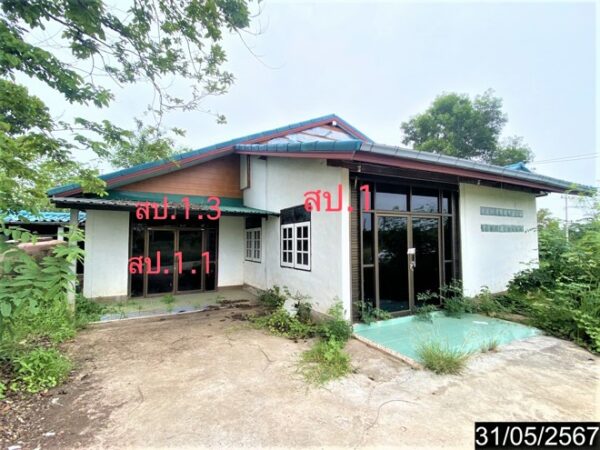 02 Single House _photo