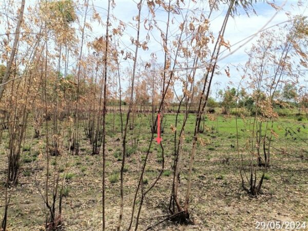 01 Land is empty. _photo