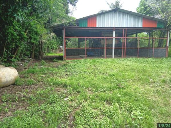 26 multi -purpose sheds _photo