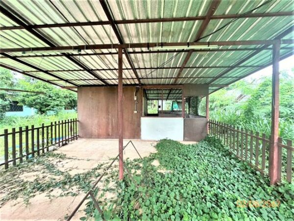 02 Single House _photo
