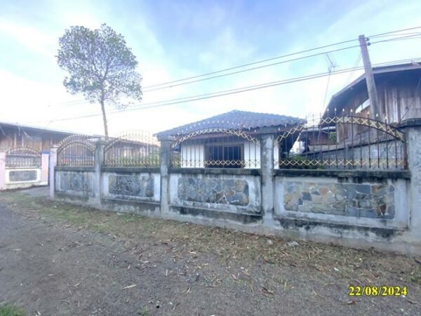 02 Single House _photo