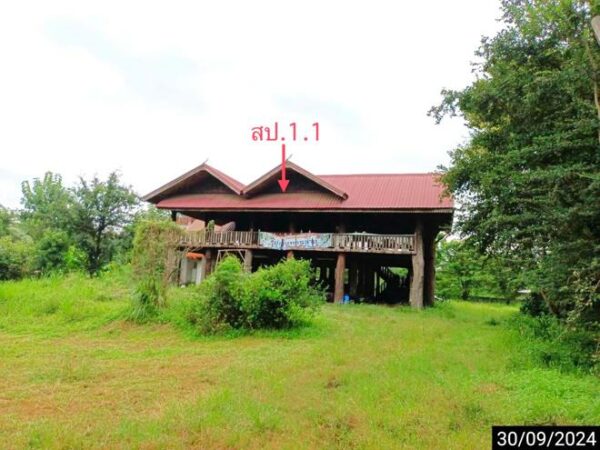 02 Single House _photo