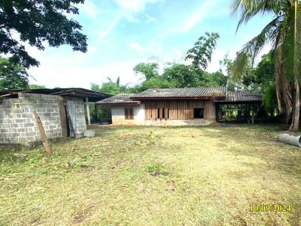 02 Single House _photo