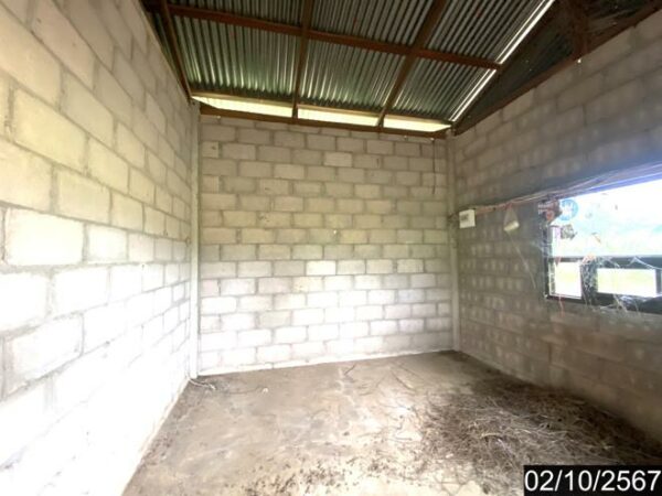 02 Single House _photo