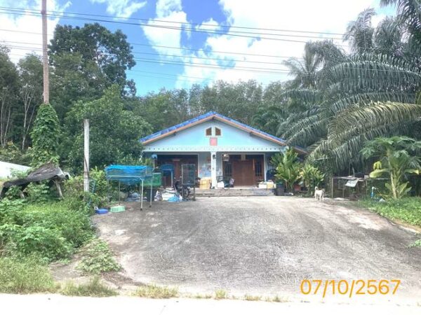 02 Single House _photo