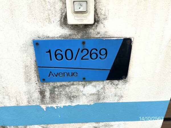 02 Single House _photo