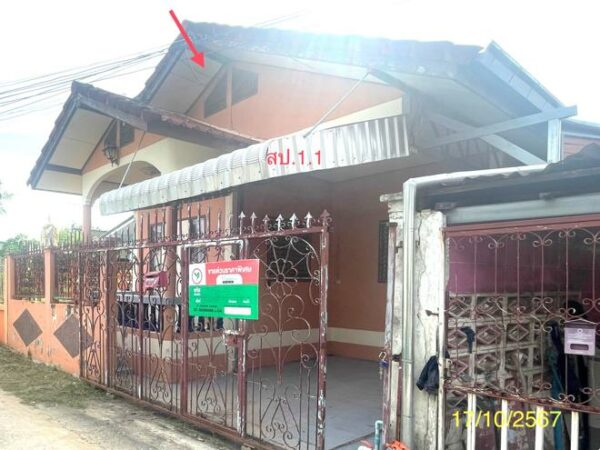 02 Single House _photo