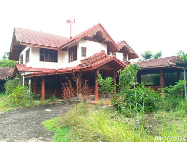 02 Single House _photo