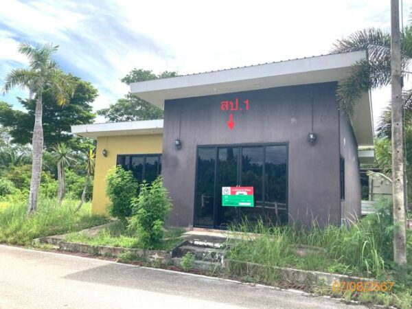 02 Single House _photo