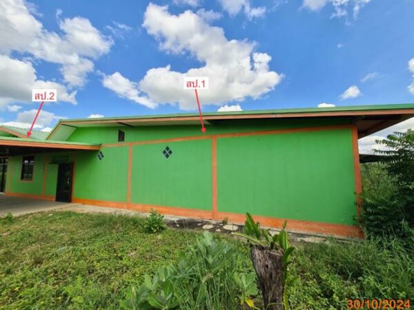 02 Single House _photo