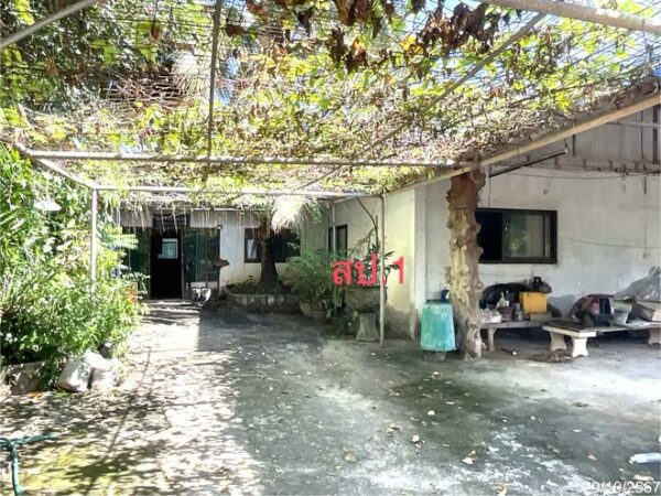 02 Single House _photo