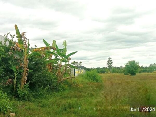 02 Single House _photo