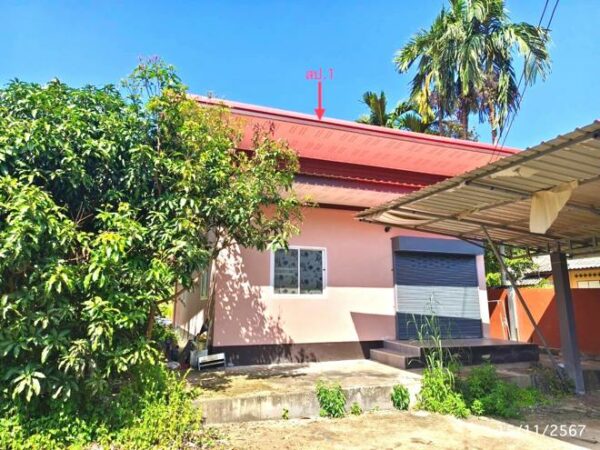 02 Single House _photo