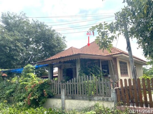 02 Single House _photo