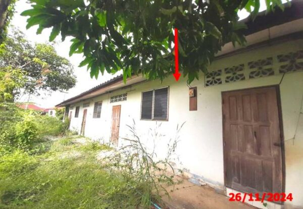 02 Single House _photo