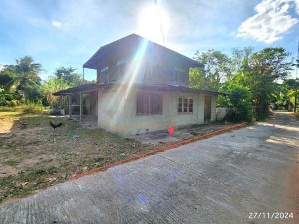 02 Single House _photo