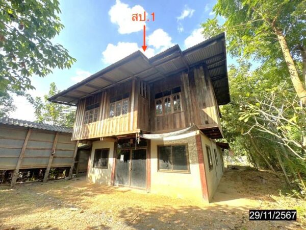 02 Single House _photo