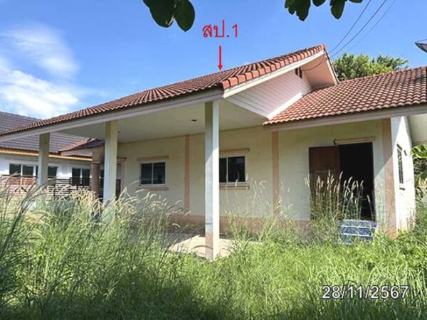 02 Single House _photo