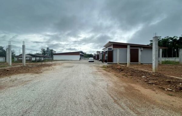 02 Single House _photo