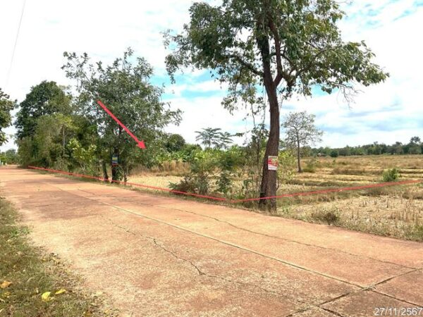 01 Land is empty. _photo