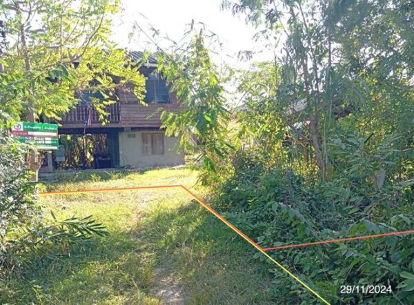 02 Single House _photo