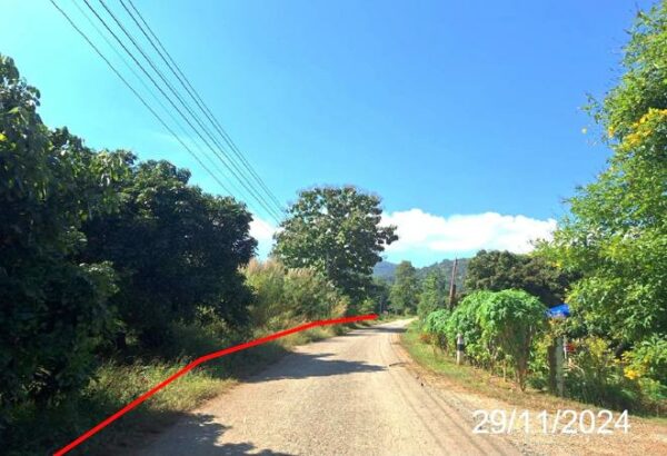 01 Land is empty. _photo