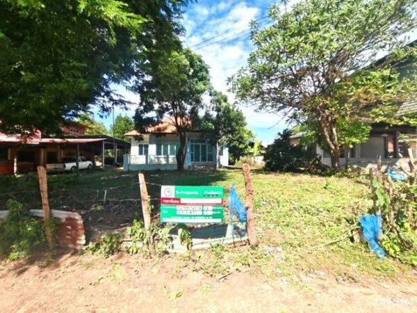 02 Single House _photo