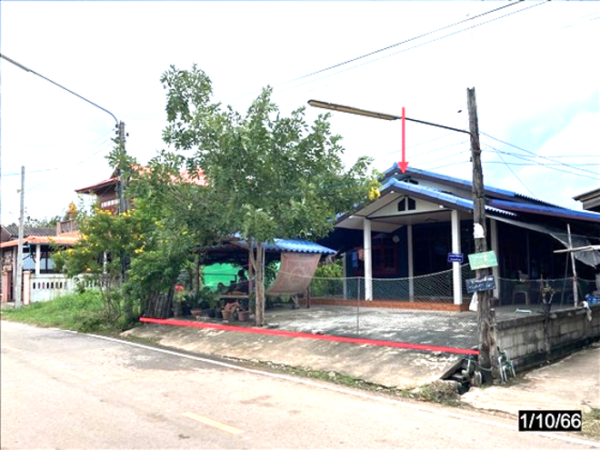 02 Single House _photo