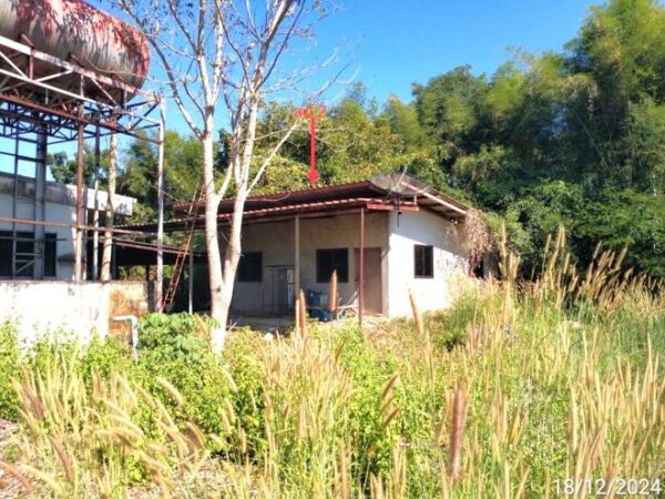 02 Single House _photo
