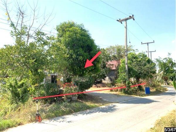 02 Single House _photo