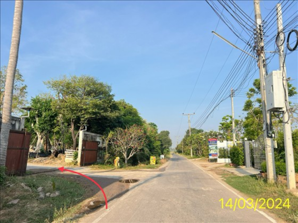 02 Single House _photo