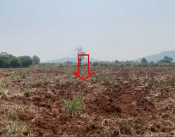 01 Land is empty. _photo