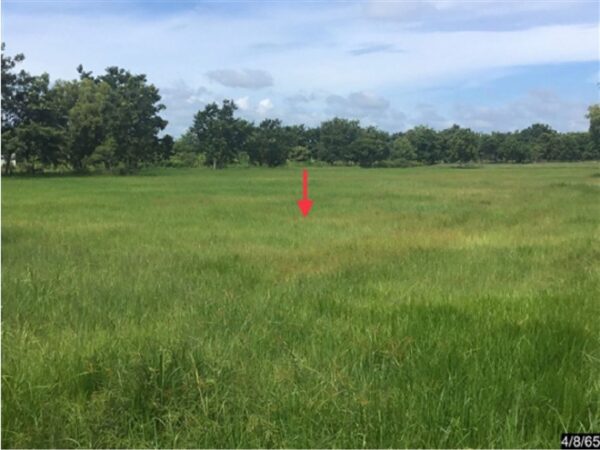 01 Land is empty. _photo