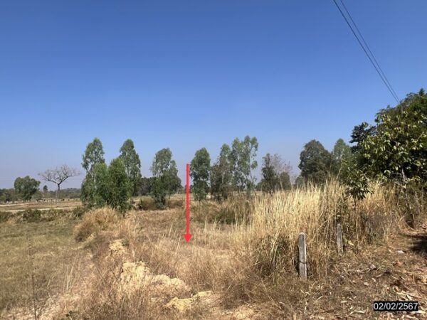01 Land is empty. _photo