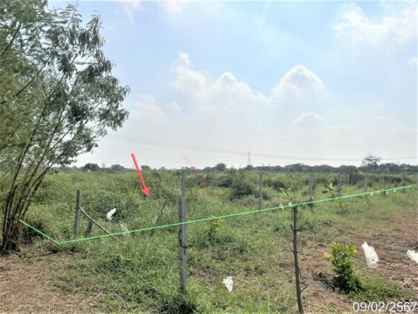 01 Land is empty. _photo