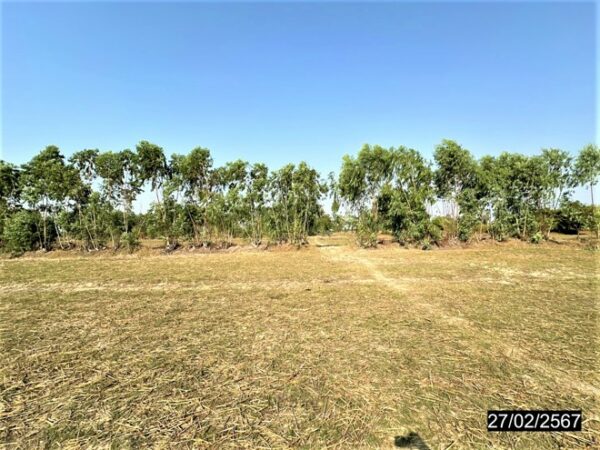 01 Land is empty. _photo